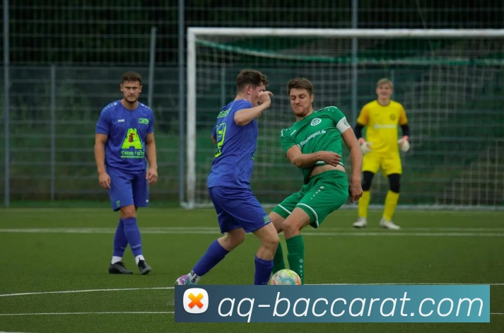 百家乐官网平台生态图