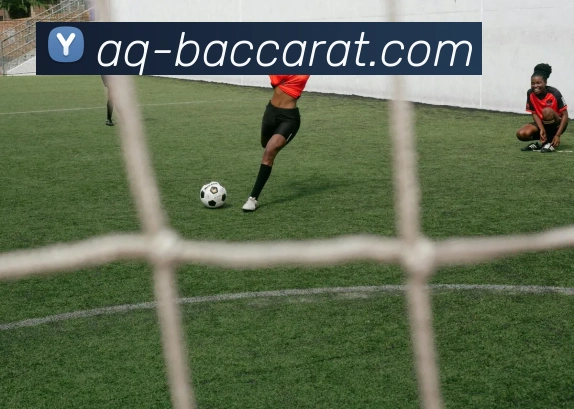 百家乐官网APP 封面图